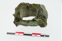 Foto von Bronzehelmknauf (NHMW-PRAE-025104)